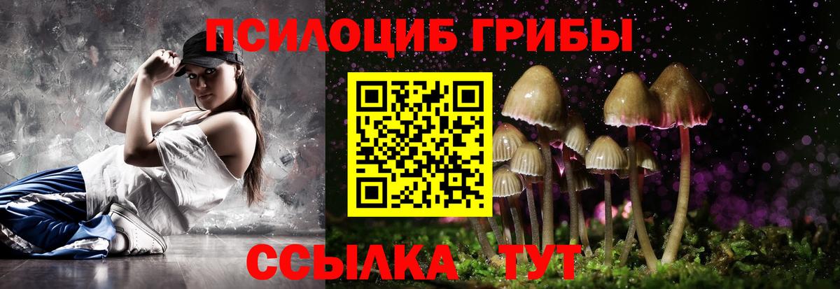Азнакаево  Псилоцибиновые грибы MAGIC MUSHROOMS  Вход с VPN 
